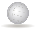 Metropolitan Officials Association: Volleyball